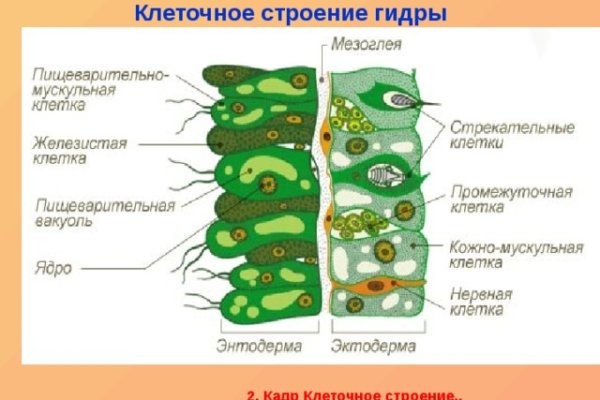 Кракен правила площадки